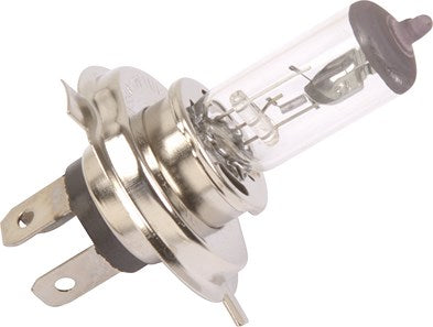 HALOGEN GLOBE - P43T 55WATT